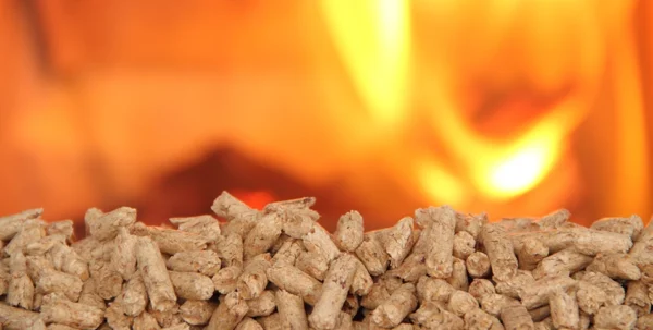 AVIA Pellets en vrac – Image 2