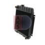 AKS DASIS 050010T Radiateur du moteur pour BMW 02